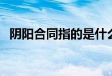 阴阳合同指的是什么（阴阳合同什么意思）