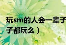 玩sm的人会一辈子都玩么（玩sm的人会一辈子都玩么）