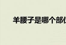 羊腰子是哪个部位（羊腰子是什么肉）