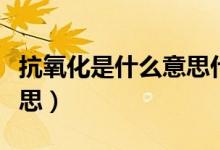抗氧化是什么意思什么好处（抗氧化是什么意思）