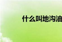 什么叫地沟油（地沟油是什么）