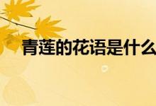 青莲的花语是什么（青莲的花语是什么）