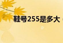 鞋号255是多大（鞋号255是多大码）