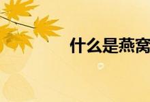 什么是燕窝（燕窝是什么）