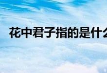 花中君子指的是什么（花中君子是什么花）