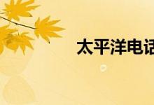  太平洋电话车险电话多少 