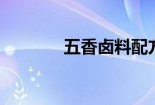 五香卤料配方（卤料的配方）