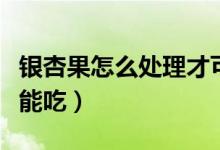 银杏果怎么处理才可以吃（银杏果怎么处理才能吃）