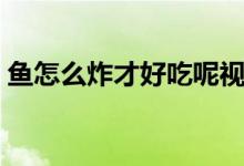 鱼怎么炸才好吃呢视频（鱼怎么炸才不粘锅）
