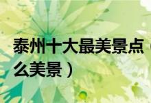 泰州十大最美景点（泰州最美的地方泰州有什么美景）