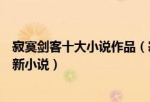 寂寞剑客十大小说作品（寂寞剑客小说哪本好看寂寞剑客最新小说）