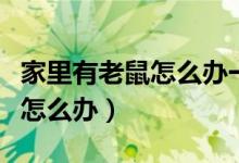 家里有老鼠怎么办一招教你解决（家里有老鼠怎么办）