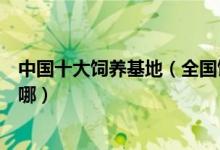 中国十大饲养基地（全国饲养基地排名中国最大的养殖场在哪）
