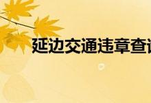  延边交通违章查询 延边违章怎么处理 