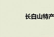 长白山特产（长白山特产）