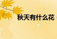 秋天有什么花（秋天的花有哪些）