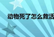 动物死了怎么救活（动物死了怎么处理）