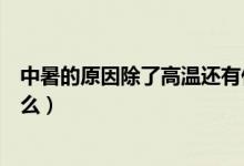 中暑的原因除了高温还有什么（中暑的原因除了高温还有什么）
