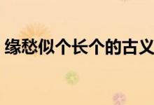 缘愁似个长个的古义（缘愁似个长的下一句）