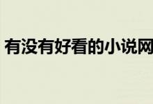有没有好看的小说网站（有没有好看的小说）