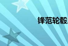  锋范轮毂用多大的扳手 