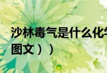 沙林毒气是什么化学成分（沙林毒气是什么（图文））