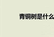 青铜树是什么（青铜树是什么）