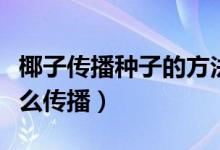 椰子传播种子的方法是什么（椰子的种子靠什么传播）