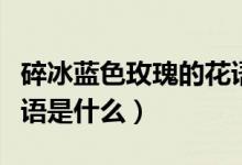 碎冰蓝色玫瑰的花语是什么（碎冰蓝玫瑰的花语是什么）