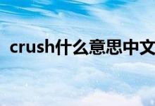 crush什么意思中文网名（crush什么意思）