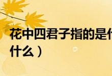 花中四君子指的是什么花（花中四君子指的是什么）