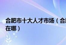合肥市十大人才市场（合肥人力资源市场合肥正规人才市场在哪）