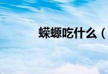 蝾螈吃什么（蝾螈吃什么食物）