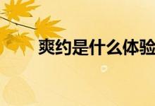 爽约是什么体验（爽约是什么意思）