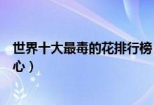 世界十大最毒的花排行榜（十大毒花排名看到它们千万要小心）
