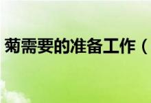 菊需要的准备工作（插菊花之前的准备工作）