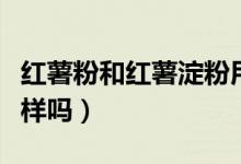 红薯粉和红薯淀粉用法（红薯粉和红薯淀粉一样吗）