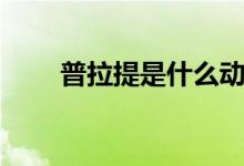 普拉提是什么动作（普拉提是什么）