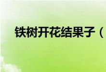 铁树开花结果子（铁树开花结果能吃吗）