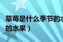 草莓是什么季节的水果百度（草莓是什么季节的水果）