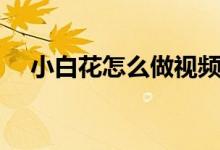 小白花怎么做视频简单（小白花怎么做）