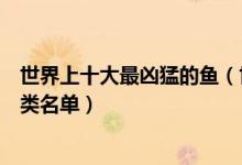 世界上十大最凶猛的鱼（世界最凶猛鱼类盘点史上最凶残鱼类名单）