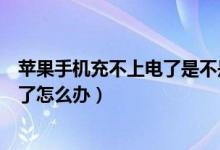 苹果手机充不上电了是不是该换数据线（苹果手机充不上电了怎么办）