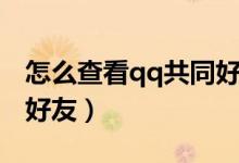 怎么查看qq共同好友数量（怎么查看qq共同好友）