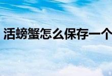 活螃蟹怎么保存一个月（活螃蟹的保存方法）