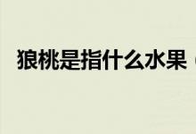 狼桃是指什么水果（狼桃指的是什么东西）
