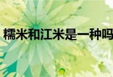 糯米和江米是一种吗（糯米和江米是一种吗）