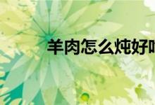 羊肉怎么炖好吃（炖羊肉的方法）