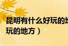 昆明有什么好玩的地方自由行（昆明有什么好玩的地方）