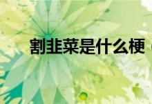 割韭菜是什么梗（割韭菜是什么意思）
